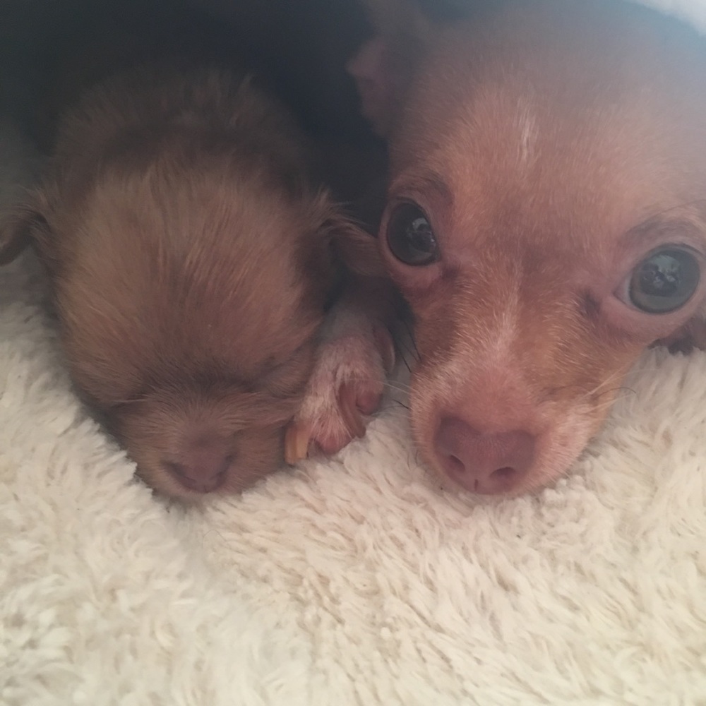 Meet your Posher, Cindy